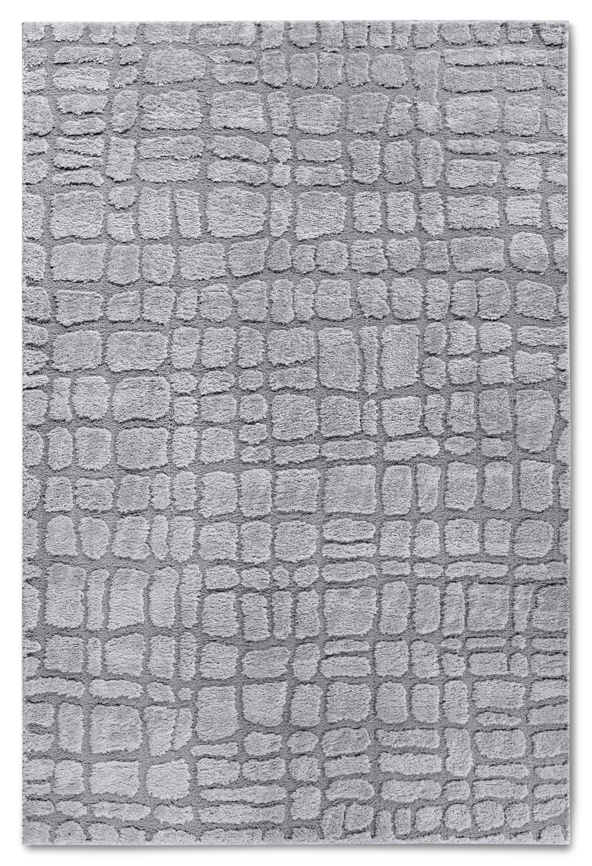 Teppich Modern Hochflor Gallery 6097 Grau
