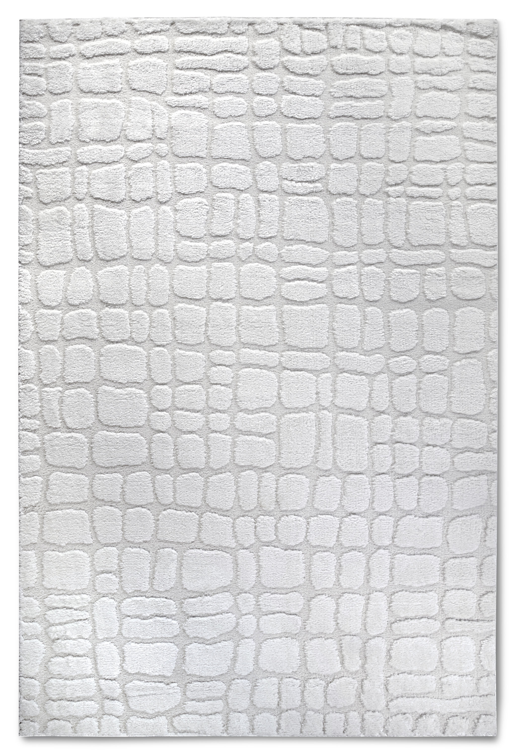 Teppich Modern Hochflor Gallery 6098 Weiß