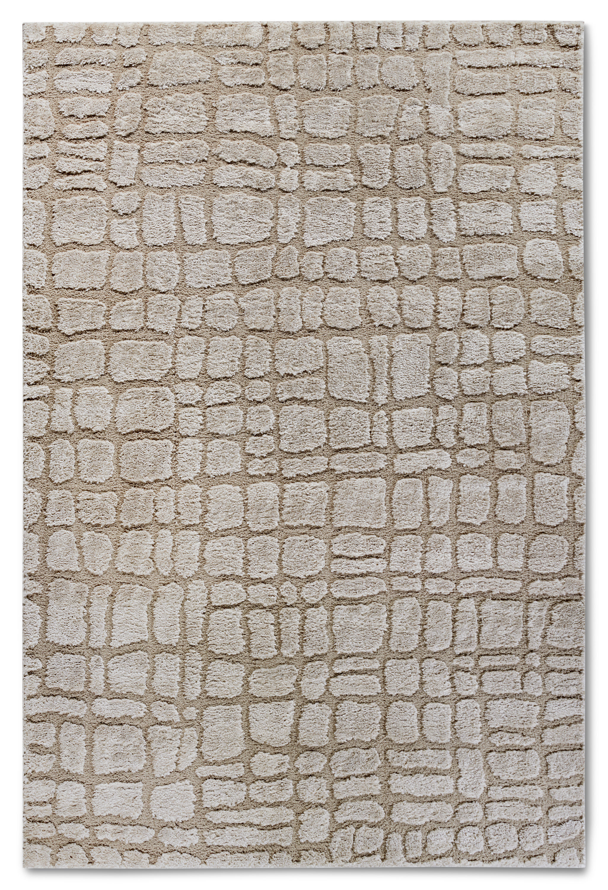 Teppich Modern Hochflor Gallery 6096 Beige